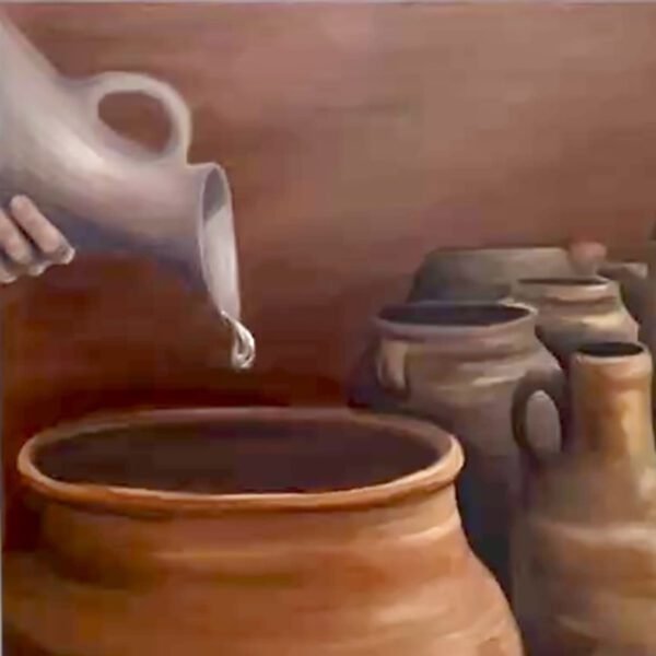 The great provider- Katie Miller