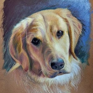 Gracie — Pastel on paper, 11" × 16"